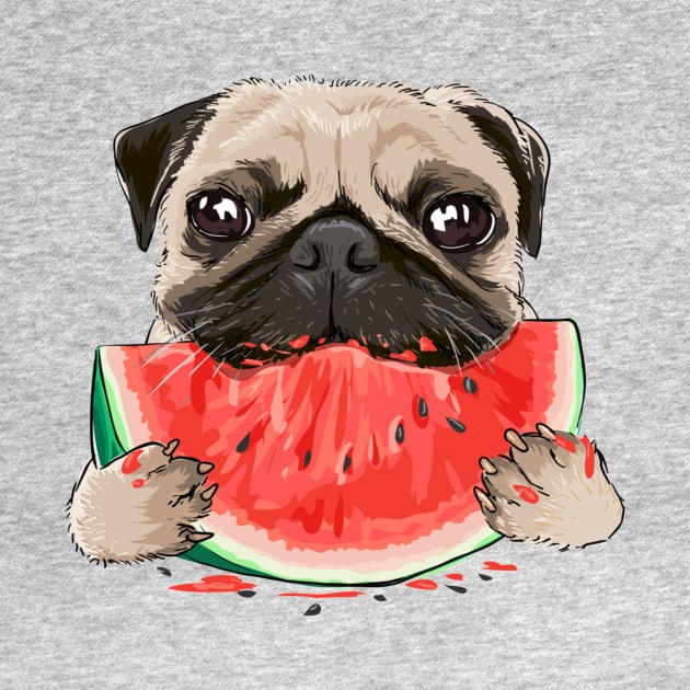 funny funny pug dog eating watermelon by amramna